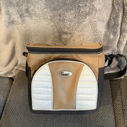 Fabric cooler with strap- 17 quarts