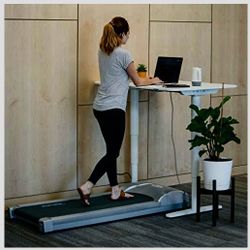 Rebel Desk Walking pad / Treadmill  $100