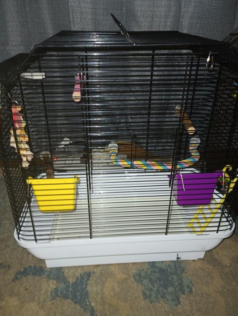 Bird Cage