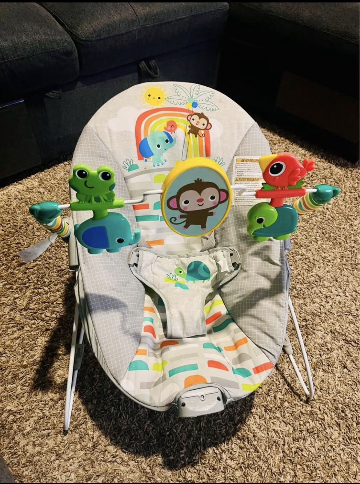 Baby Bouncer