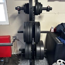Barbells, Plates, Squat Rack and Accessories
