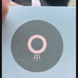 Brand New Pandora Charm Bracelet 