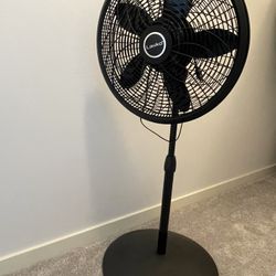 Electric fan