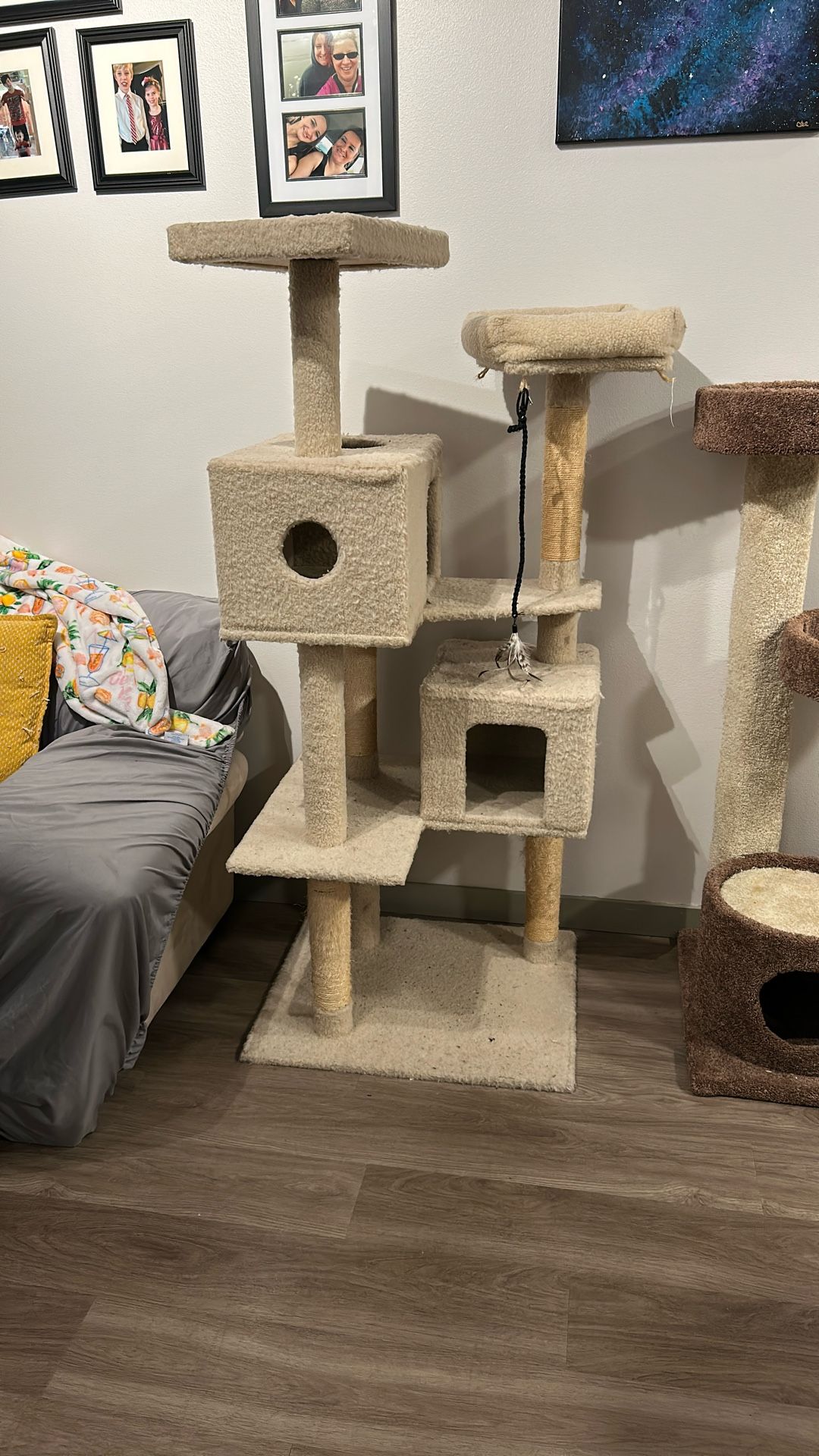 Large Cat Tree