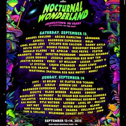 Nocturnal Camp Wristbands 