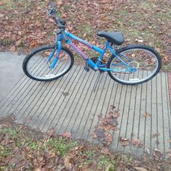 Road Master Mt Fury Bike