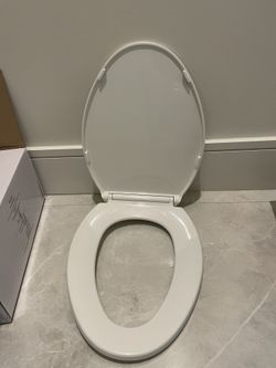 Toilet Seat