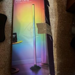 Floor Lamp 