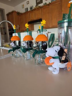 Snoopy Glass Cold Cup $140each- The Great Pumpkin Edition