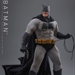 Hot Toys The Dark Knight Returns Figure