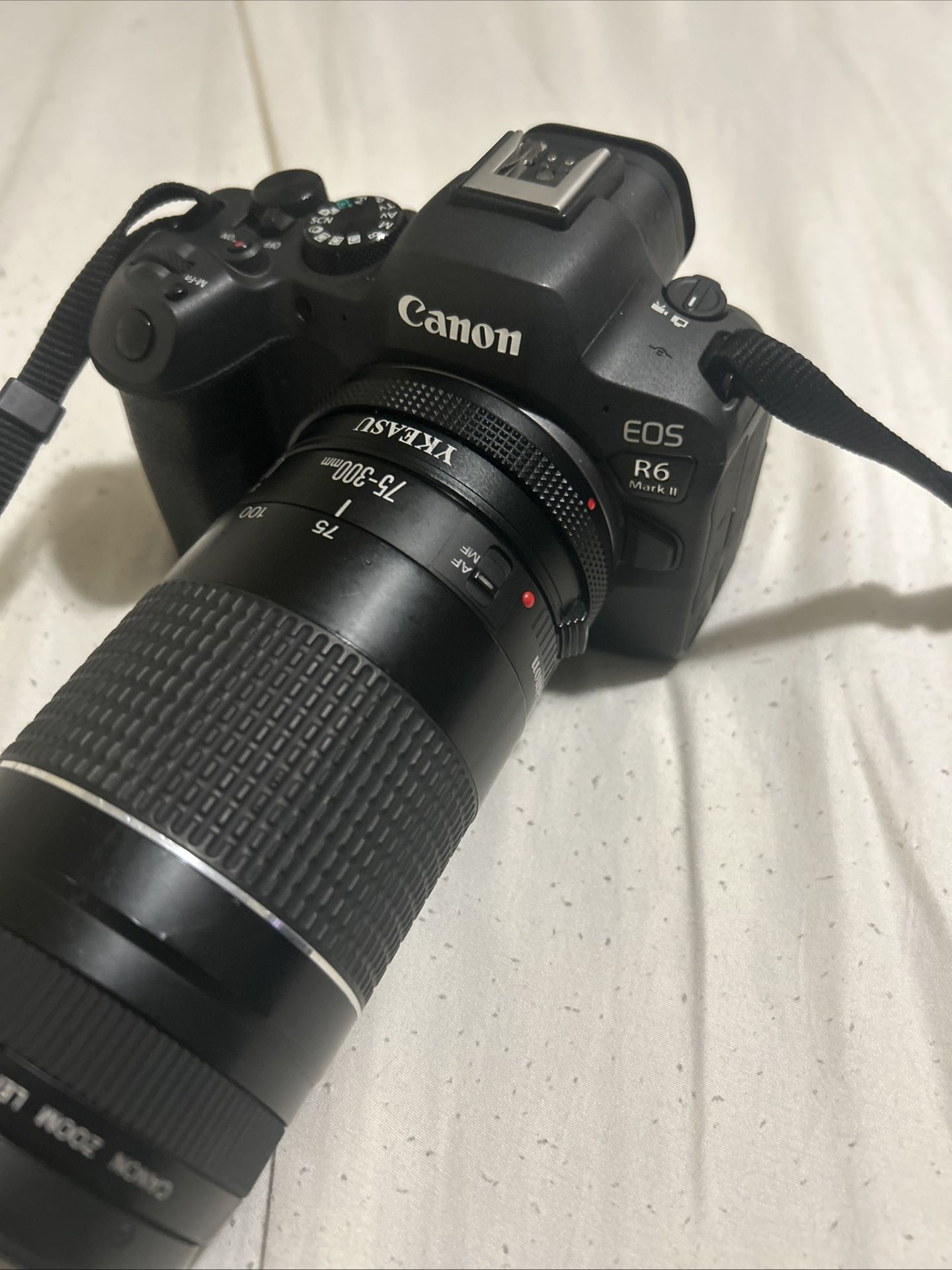 Canon R6 Mark II