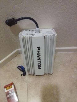 Hydroponic Phantom amps and lights