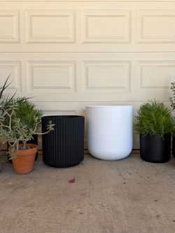 Set of 2 Huge Modern Planters West Elm CB2 Ribbed Black and Solid White