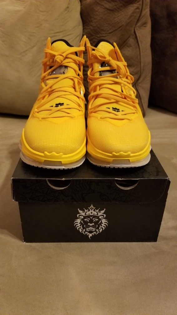 Nike Lebron 19 Hard Hat OG Jordan Retro Cement Chicago Lost & Found SB 1 2 3 4 5 6 7 8 13 11 9 12 Reimagine Hyper Thunder Yellow Carolina