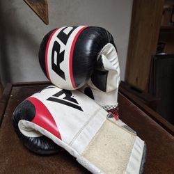 Punching Bag And Gloves 