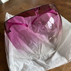 Hard Plastic Face Shield Mask