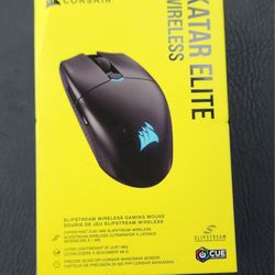 Gaming Mouse