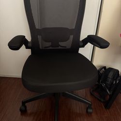 Office Chair (used)
