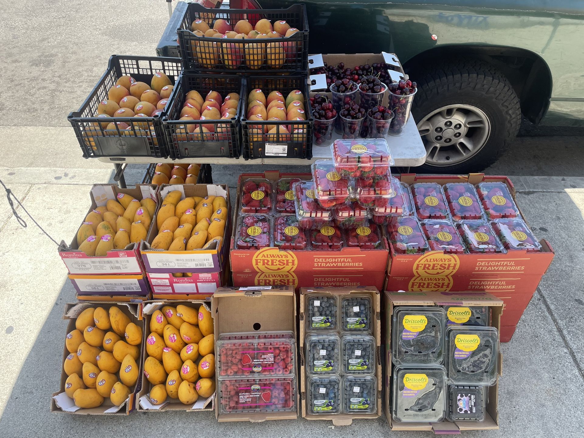 all fruits