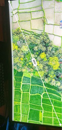 Curved Monitor - Acer 32 inch