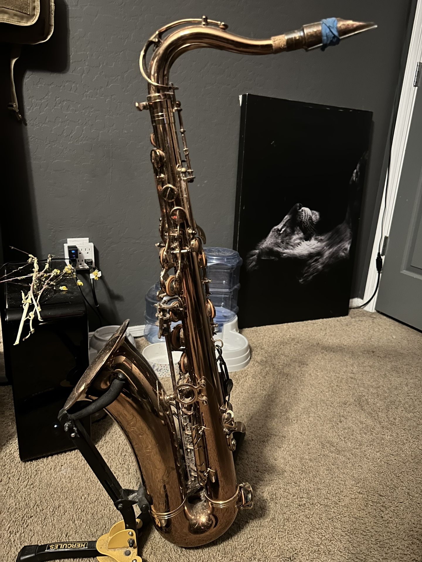 Allora Tenor Saxophone
