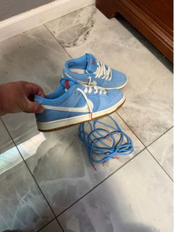 Nike sb dunk low tops