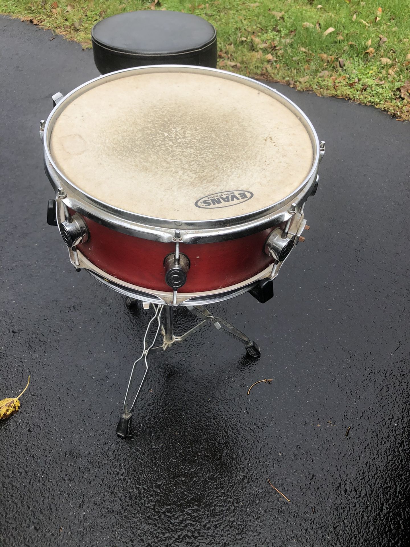 Evans snare