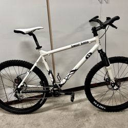Custom Single Speed Mountain Bike