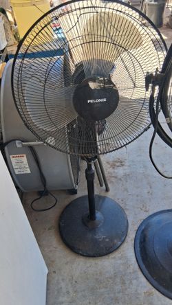 Pedestal  fan  $25
