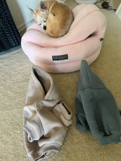 Comfrt Dog Hoodie ( 2 )