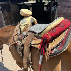 Horse Saddle 