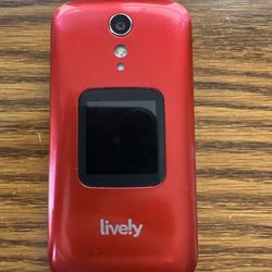 Lively Flip 2 Phone