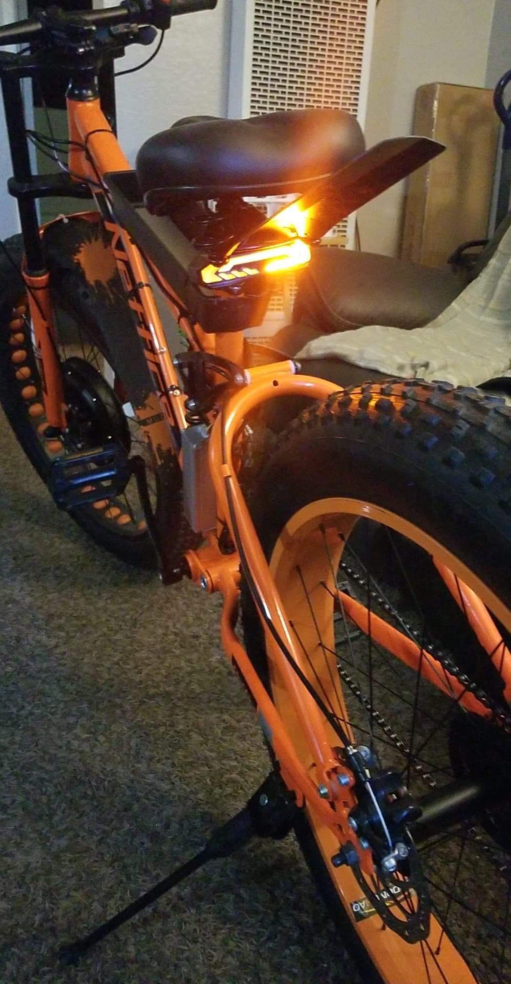 Custom Fat Tire Electric Bike