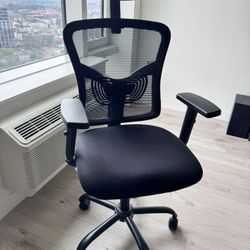 Ergonomic Office Chair ($35)