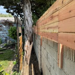 Wood Fence And Vinyl Fence 