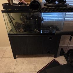 75 gallon aquarium