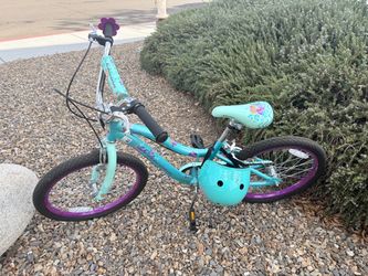 Schwinn Kids Bike Teal and Purple
