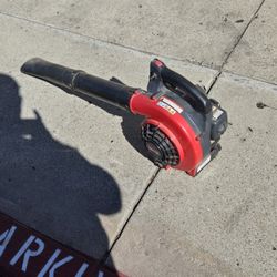 Kawasaki Leaf Blower 