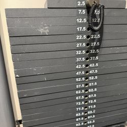 Life Fitness Adjustable Dual Cable