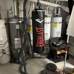 Punching Bag With Stand 