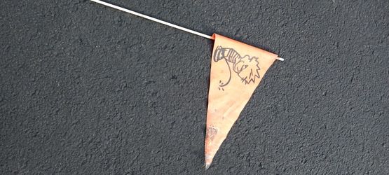 Flag For Bikes Motorcycle Scooters