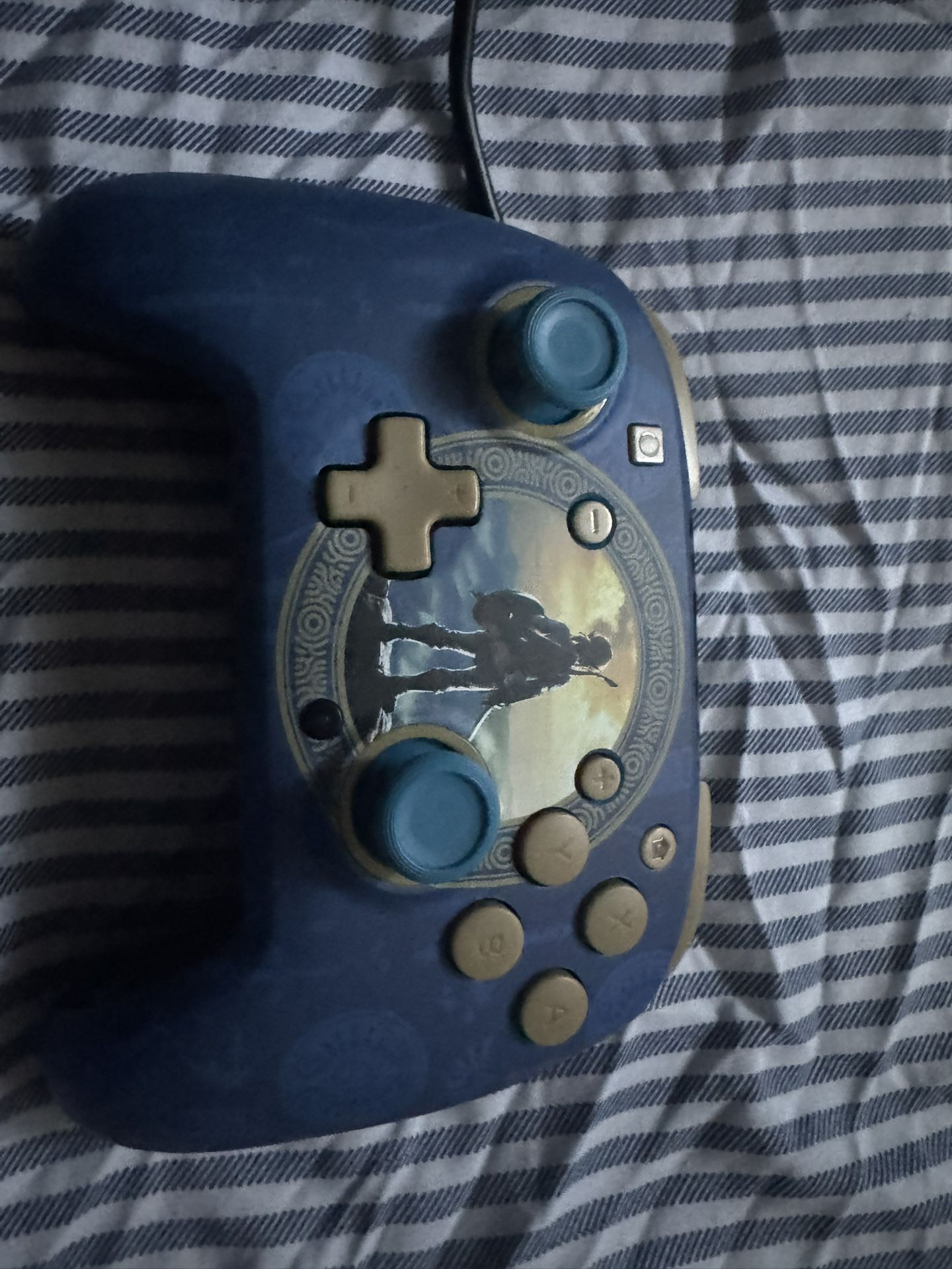 Wired Nintendo Switch Controller 