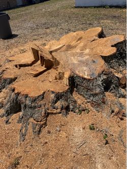 Stump grinder
