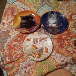 Adorable Kitten Collector Plates