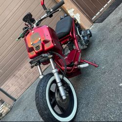 Ice Bear Mad Dog 2020