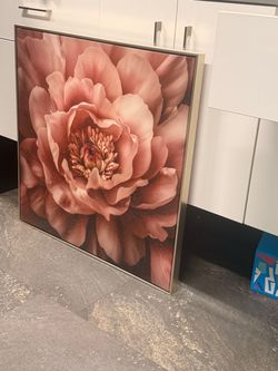 Flower Picture