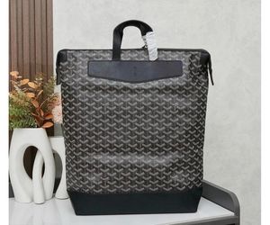 Goyard Backpack