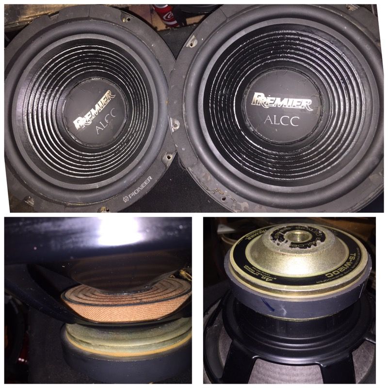 2 VINTAGE (12" PREMIER ALCC SUBWOOFER)600Watts