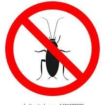 Are You Tired Of Roaches Call Me