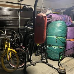 Everlast Punching Bag 